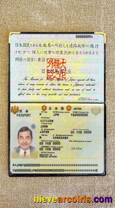 Japan passport 2005-2015 photolook